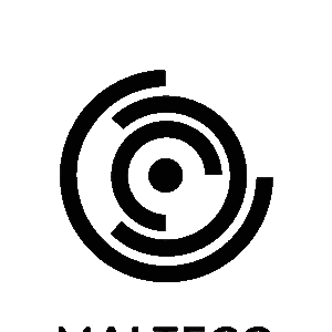 MALTEGO